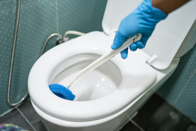 House Cleaning Services in Nairobi maid cleaning toilet bowl with brush in bathroom at home.
